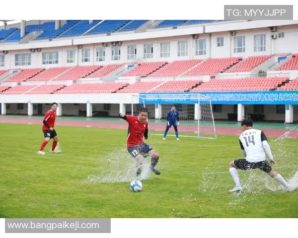 足球明星亲民活动与群众同场踢球展现友谊与热情的精彩瞬间